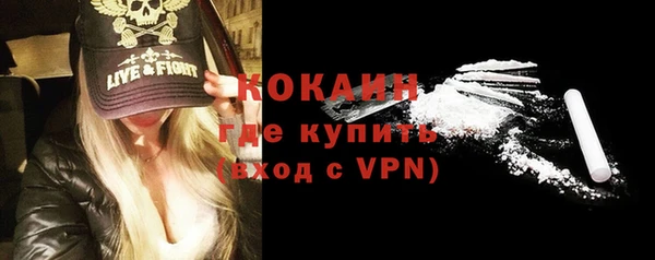 шишки Медногорск