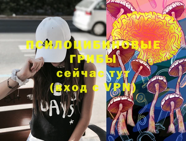 каннабис Медвежьегорск