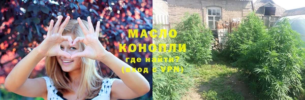 шишки Медногорск
