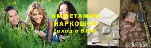 шишки Медногорск