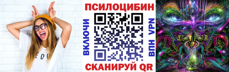Галлюциногенные грибы MAGIC MUSHROOMS  где продают   MEGA рабочий сайт  Шилка 