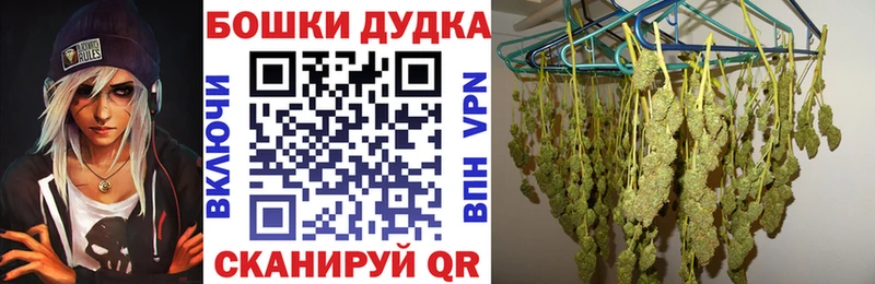 Шишки марихуана THC 21%  сколько стоит  Шилка 